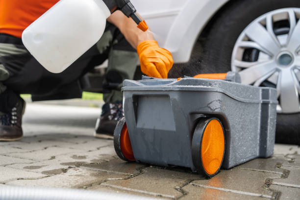 Best Tree and Shrub Care  in Homeland, CA
